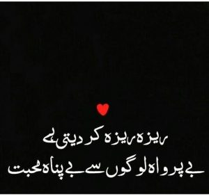 500+ Whatsapp Status Love in English Urdu Hindi Punjabi with Images