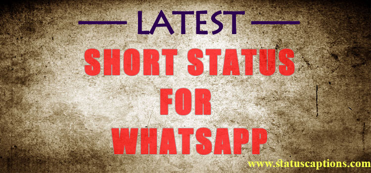 Short status for Whatsapp