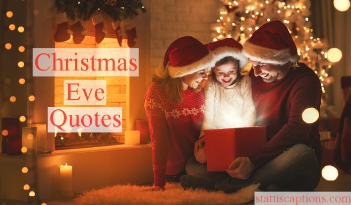 200+ Best Christmas Instagram Captions 2020 | StatusCaptions.com: Instagram Captions &amp; Qoutes