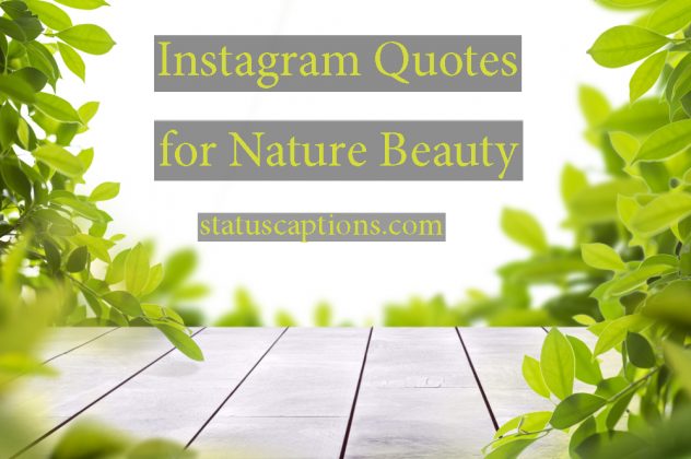 Nature Captions for Instagram | StatusCaptions.com: Instagram Captions