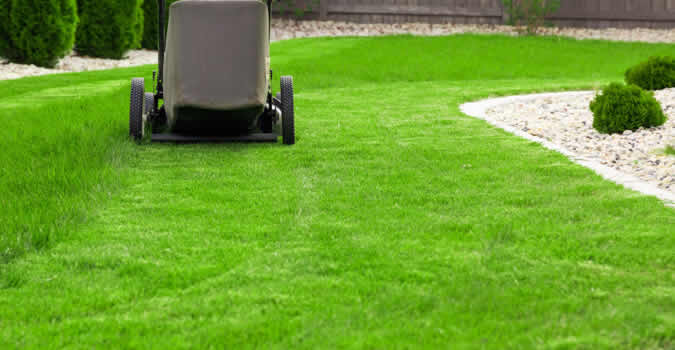 Lawn Care and Landscaping Services in Myrtle Beach