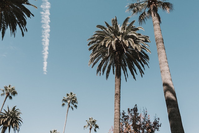 8 Ways to Make Your Next Trip to LA Unforgettable