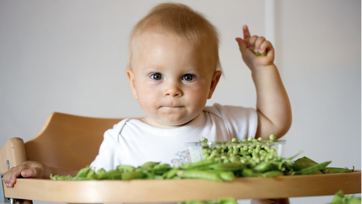 Healthy Food for Babies and Toddlers - StatusCaptions.com: Instagram ...