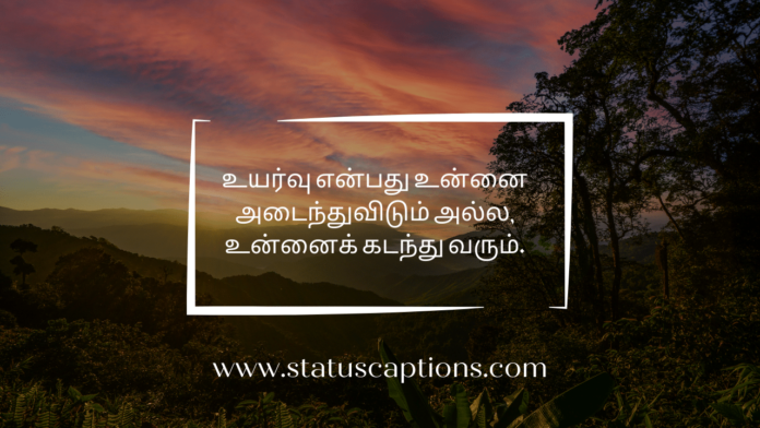 30+ Powerful Motivational Quotes in Tamil to Fuel Your Success